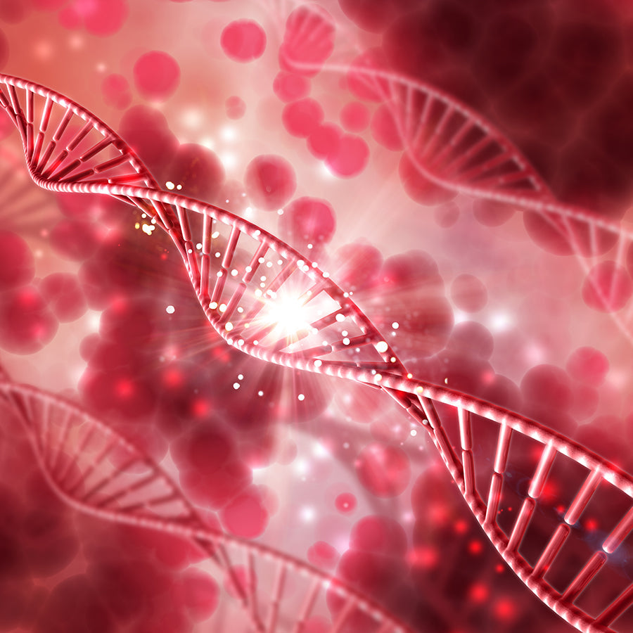 Best Tricks to Increase White Blood Cells
