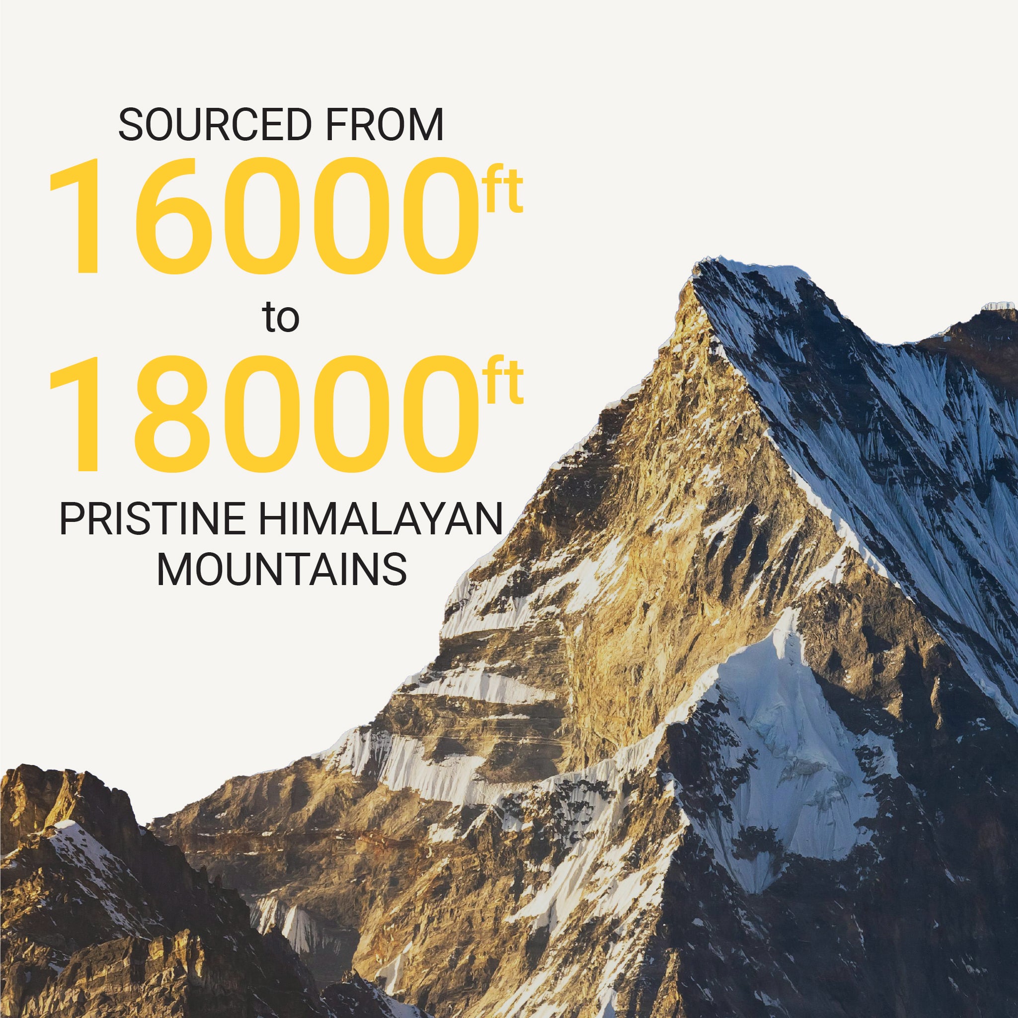 Pristine Shilajit Himalayan Mountains