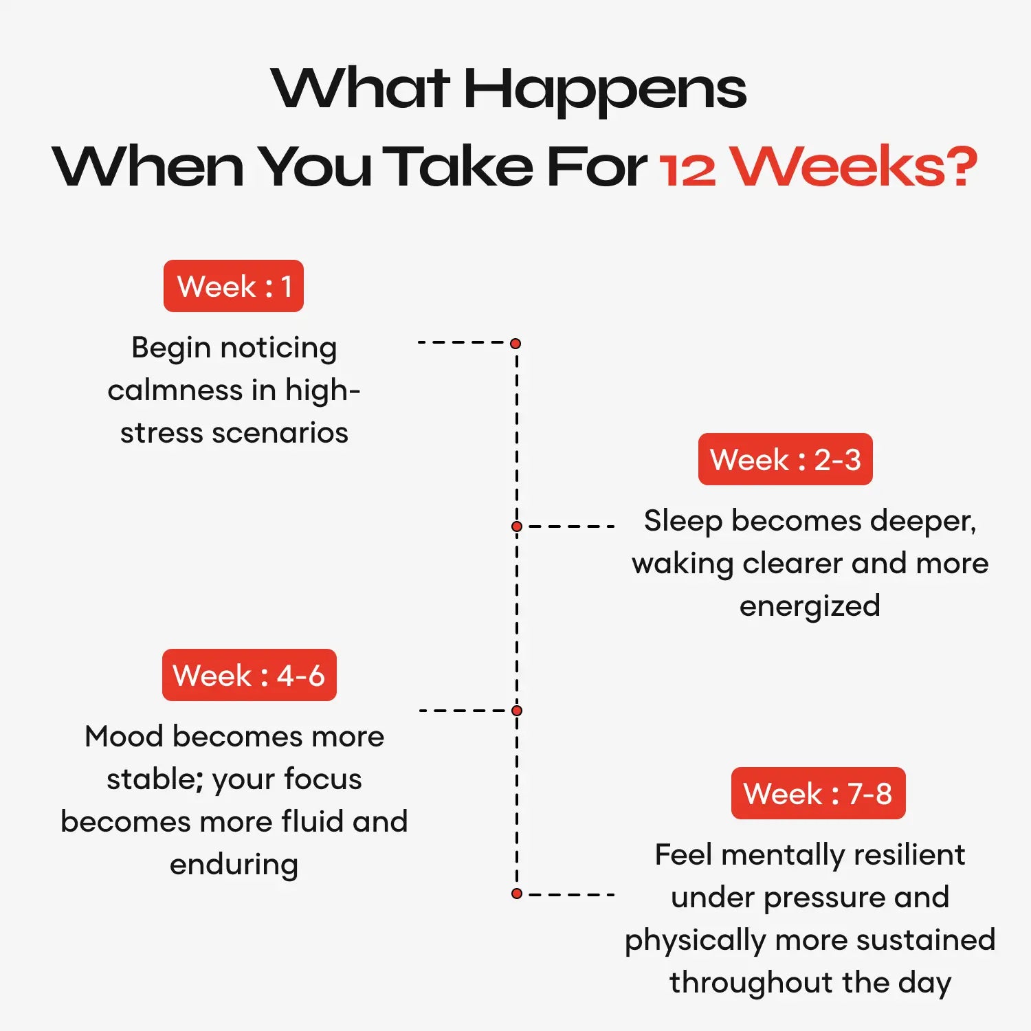 Daily Essentials Stack