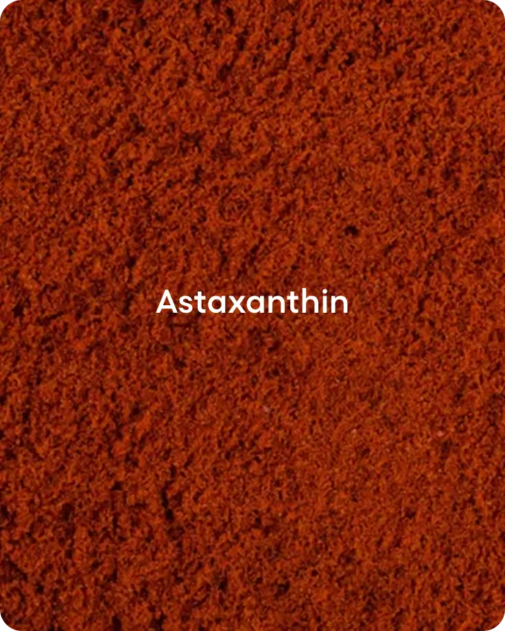 Banner image for desktop