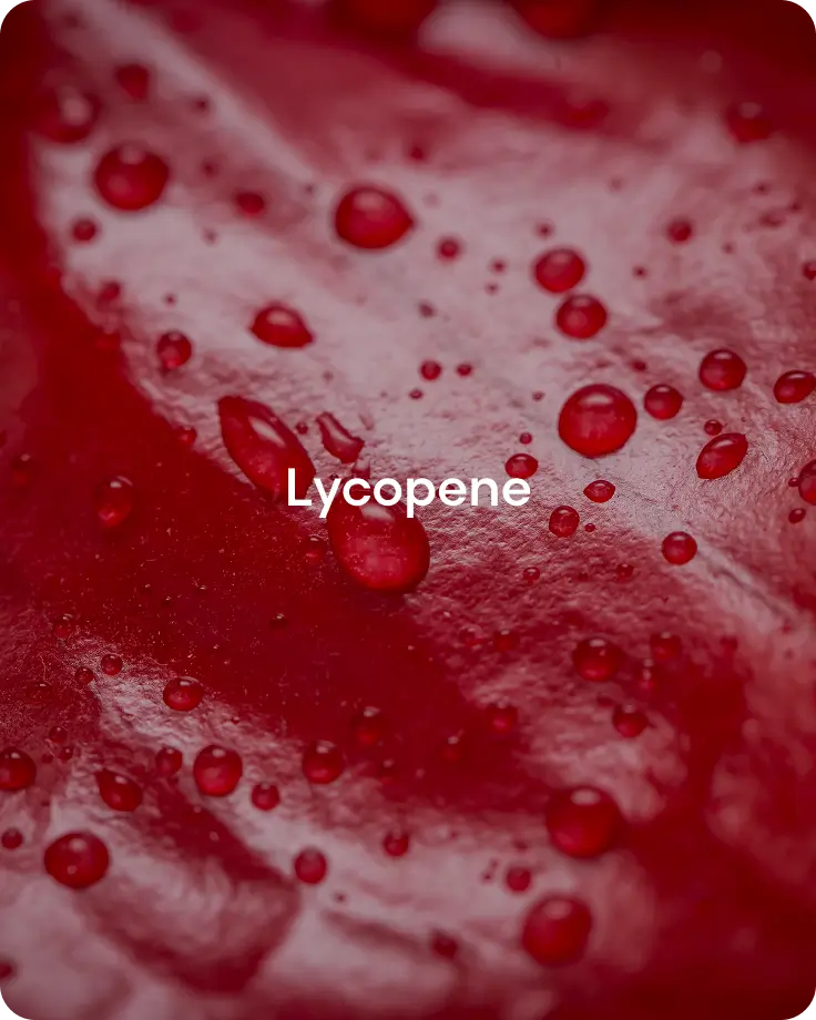 Banner image for desktop