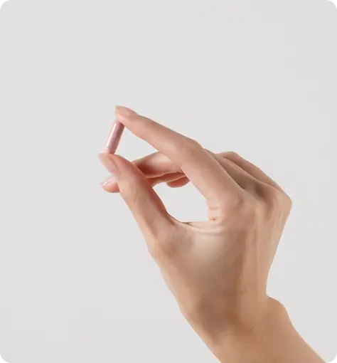 Designed for Absorption and Experience