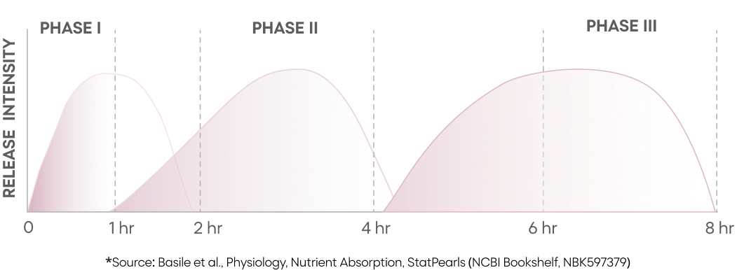 TruPhase three-phase nutrient release over 8 hours