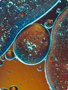 Amino Acids