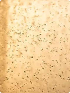 Wheat germ