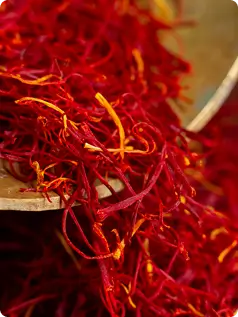 Milk Thistle Extract (Silymarin Extract)