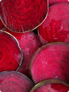 Beet Root Extract (Beta vulgaris)
