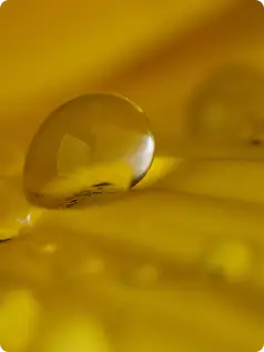 EPA