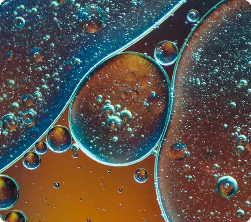 Amino Acids