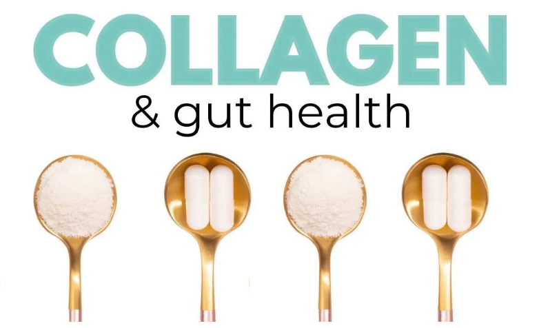 The Importance of Collagen for Gut Health and Digestion