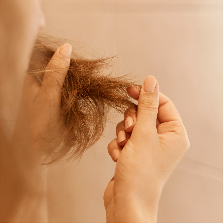 Seven Simple Steps to Repair Your Damaged Hair