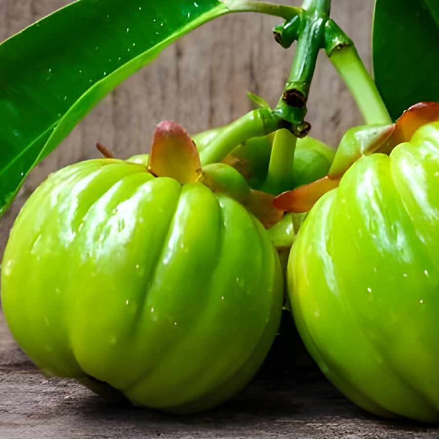 Natural Healthy Weight Loss with Garcinia Cambogia