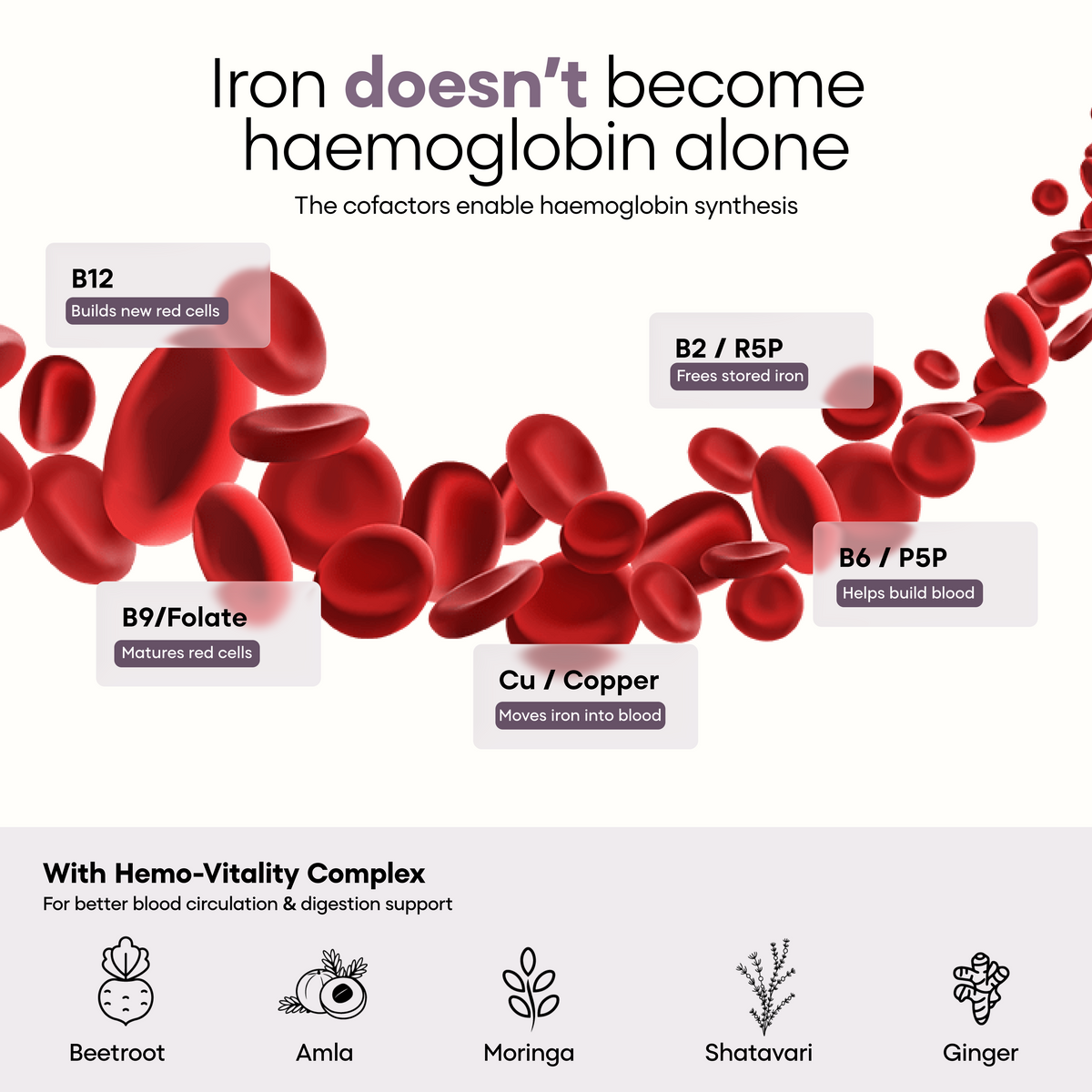 Iron Pulse+