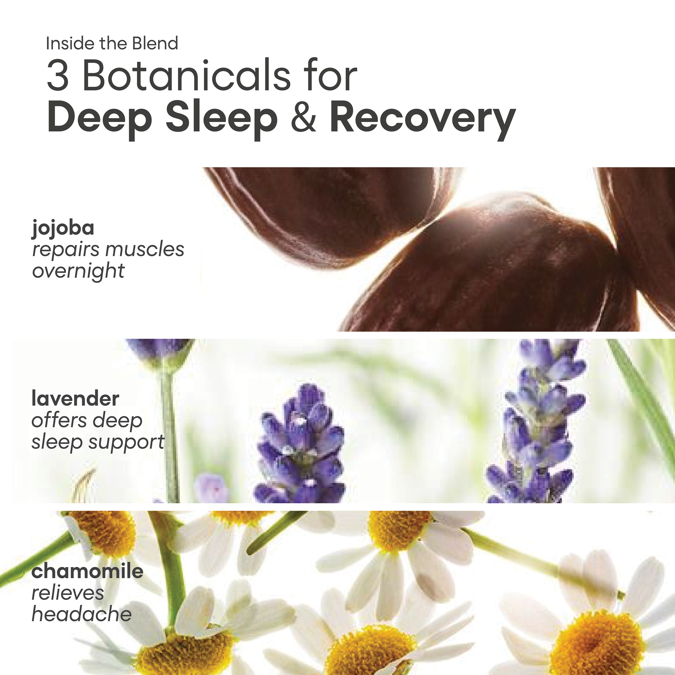 Magsleep Lotion