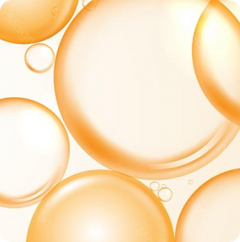 Evening Primrose oil