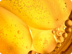 Lutein + Zeaxanthin
