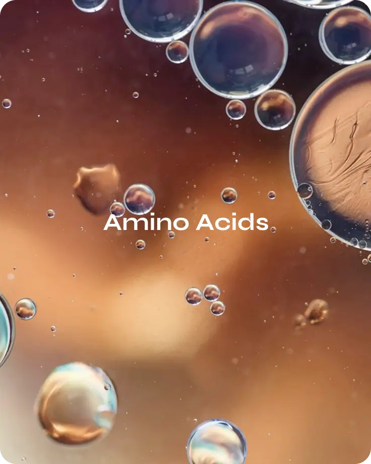 Banner image for desktop