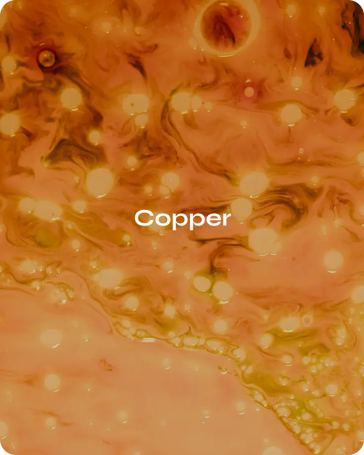 Banner image for desktop