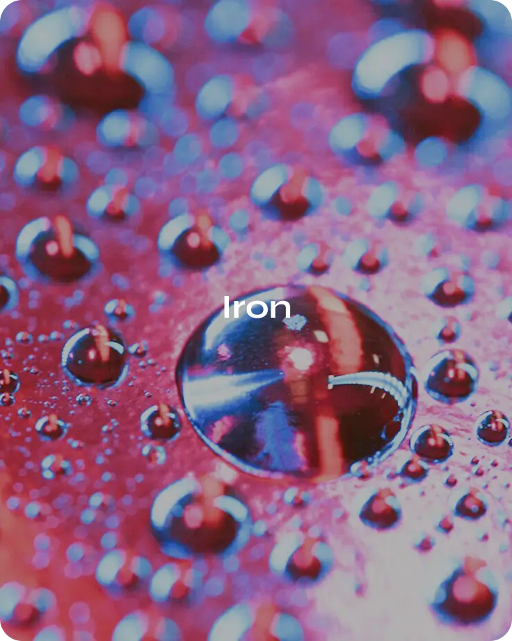 Banner image for desktop