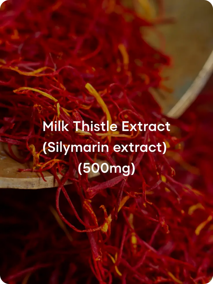 Liver Detox & Hepatic Function