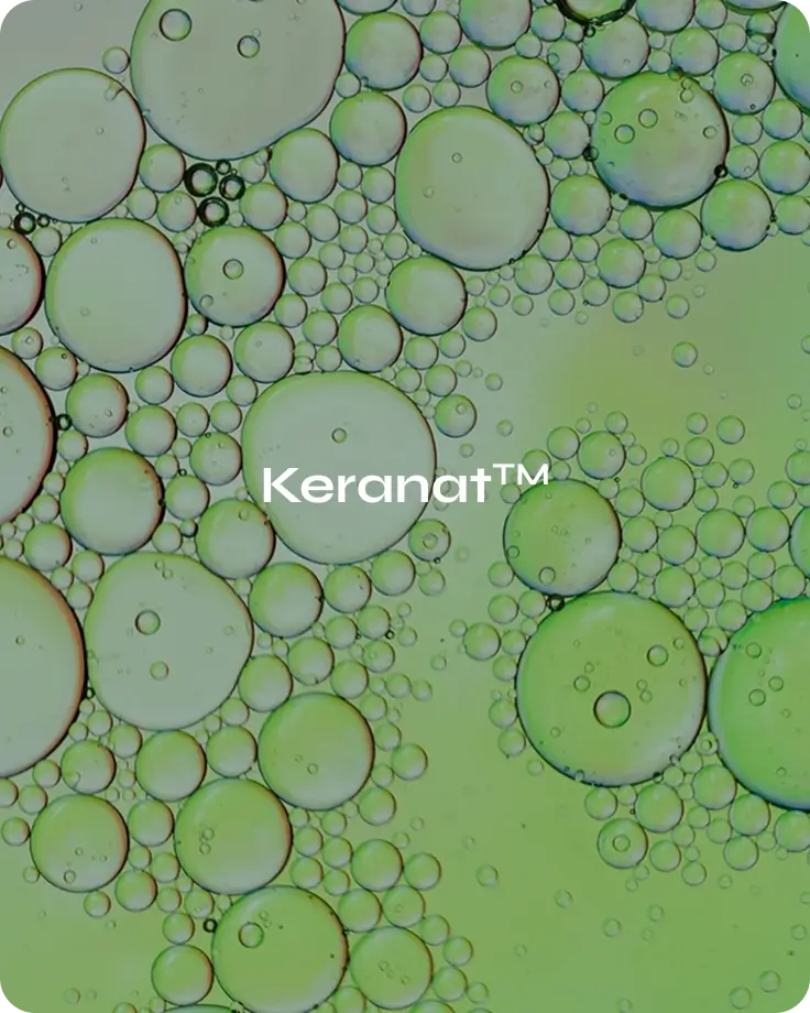 Banner image for desktop