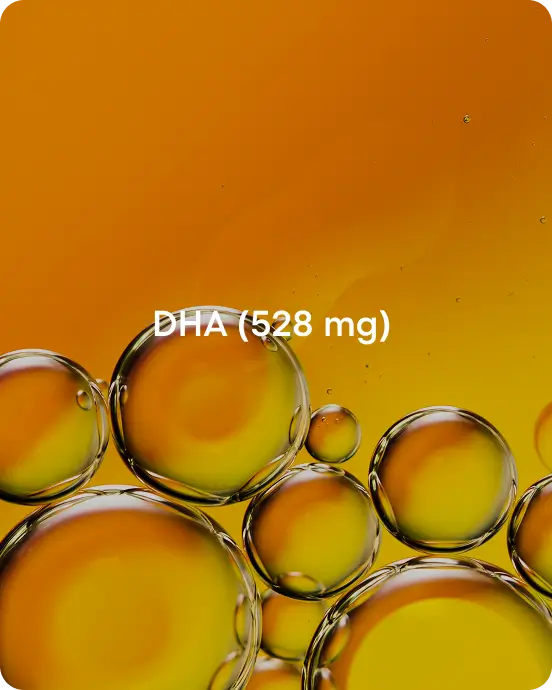 Banner image for desktop
