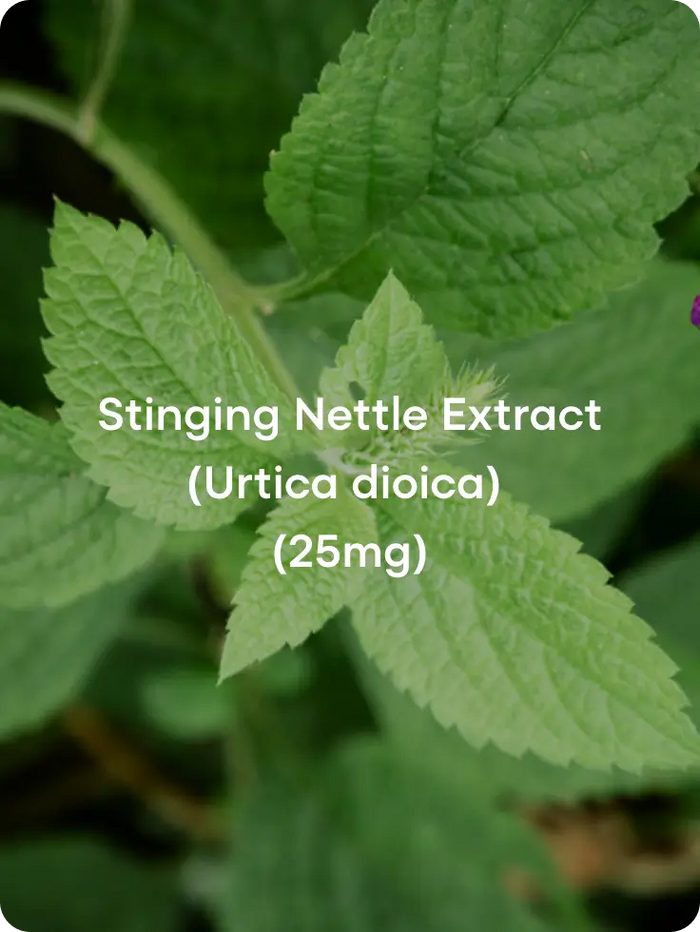 Liver Detox & Hepatic Function