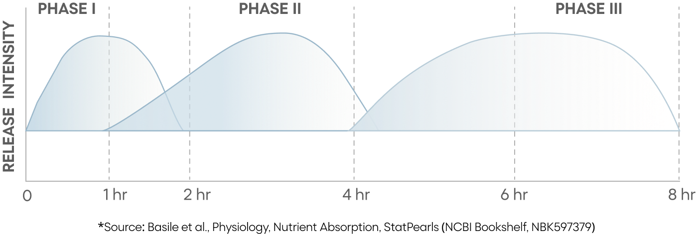 TruPhase three-phase nutrient release over 8 hours