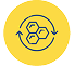 cellular<br>repair