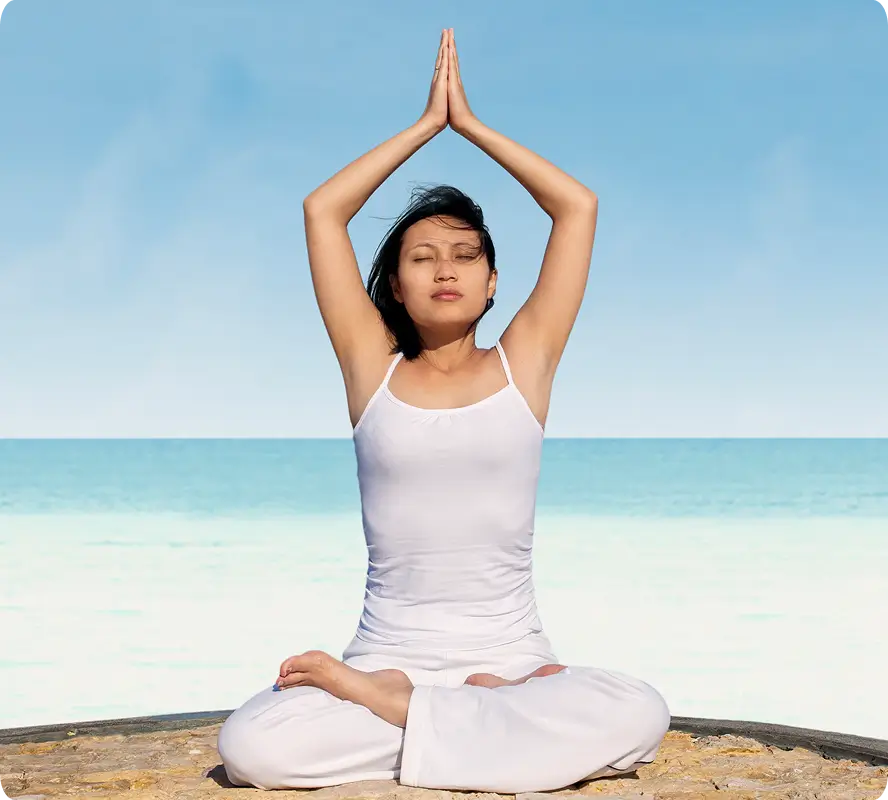 <p>The Wellness Devotee</p>