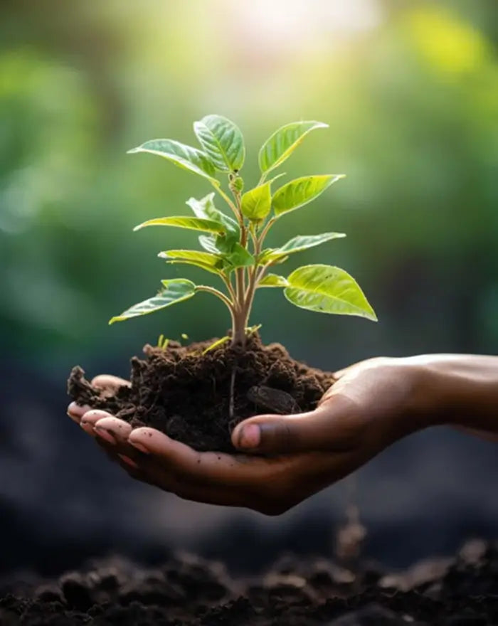 Sourced from certified organic suppliers committed to sustainable farming.