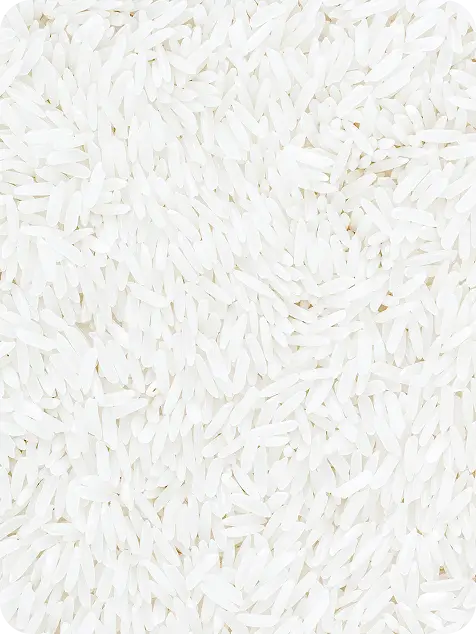 Rice Extract