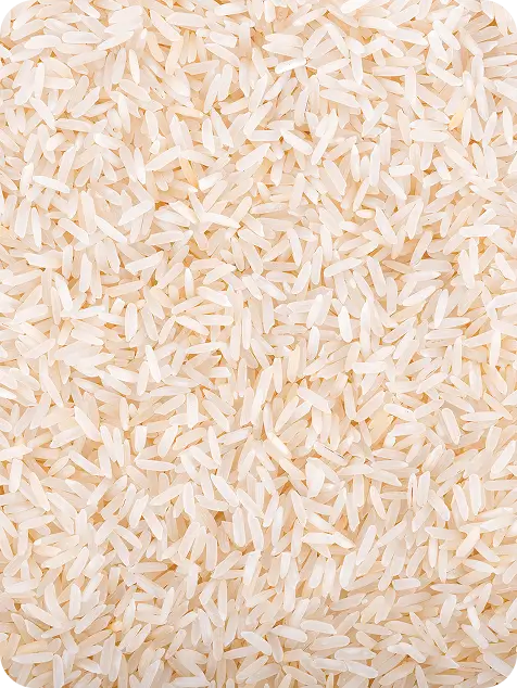 Fermented Rice Extract