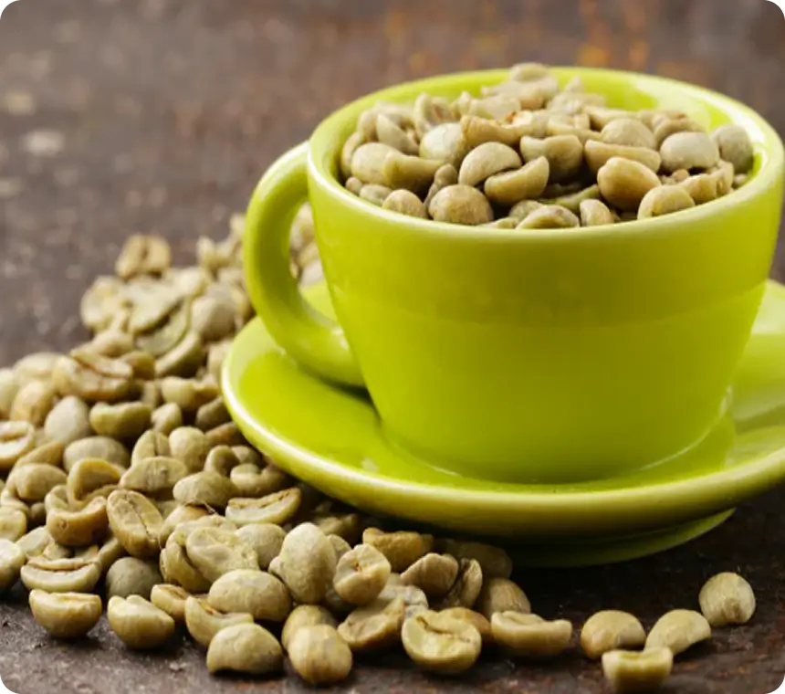 Green Coffee Extract