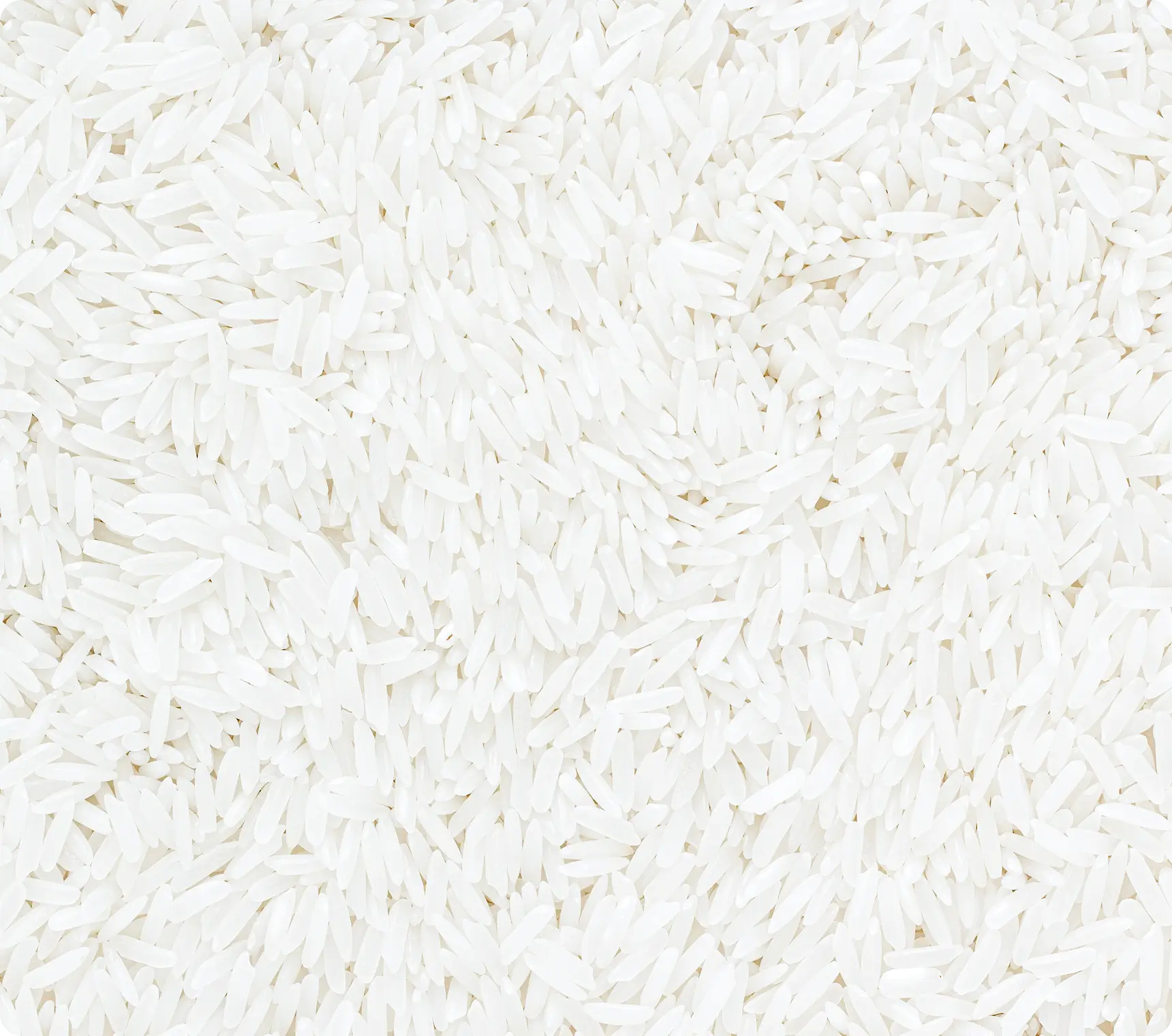 Rice Extract