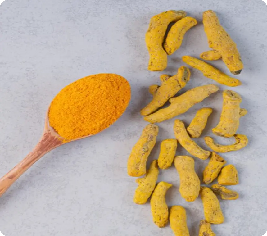 Curcumin Extract