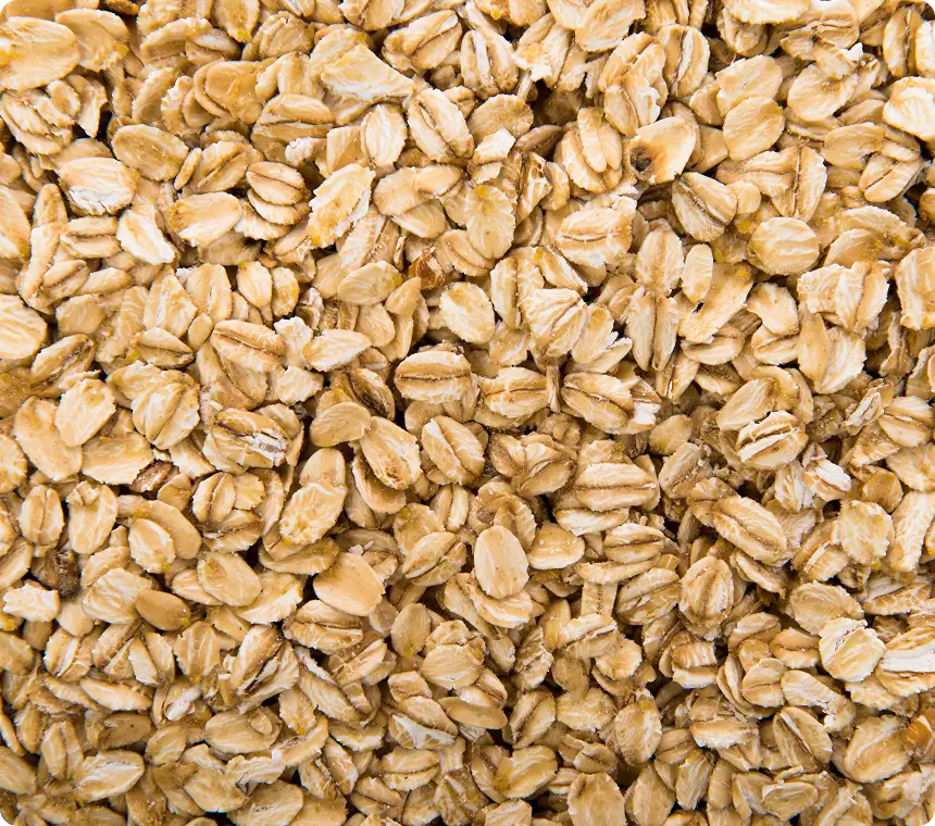 Oat Lipids